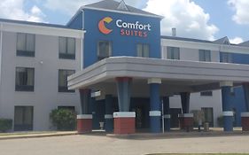 Comfort Suites Airport South